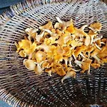 Wyciszek - Mazurska * Wegorzewo