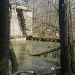 Wyciszek - Mazurska *
