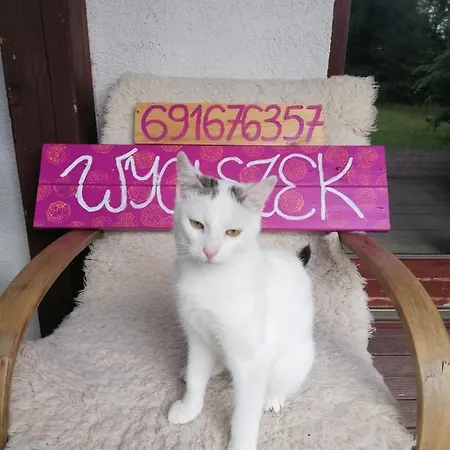 Feriegård Wyciszek - Mazurska *