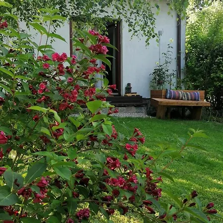 Wyciszek - Mazurska Węgorzewo