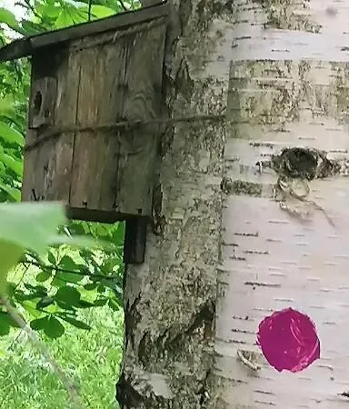 Wyciszek - Mazurska Gospodarstwo agroturystyczne
