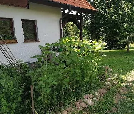 Wyciszek - Mazurska * Węgorzewo