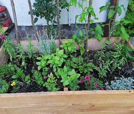 Feriegård Wyciszek - Mazurska