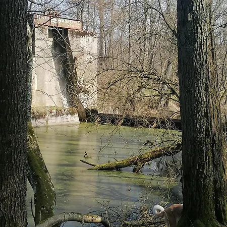 Wyciszek - Mazurska *