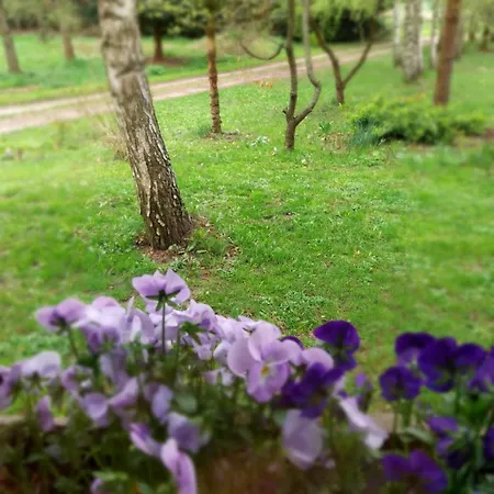 Feriegård Wyciszek - Mazurska