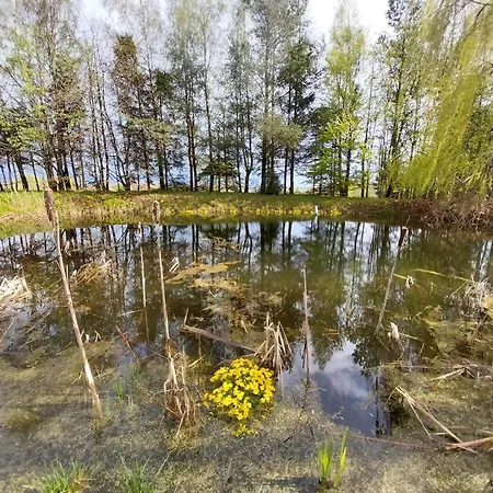 Gospodarstwo agroturystyczne Wyciszek - Mazurska *